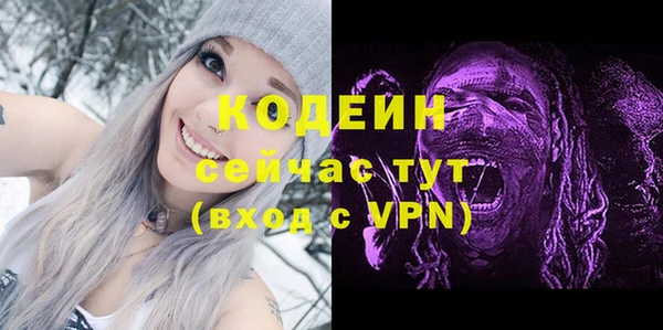 дурь Алексин