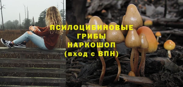 дурь Алексин