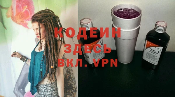 дурь Алексин