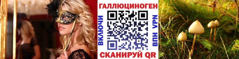 Галлюциногенные грибы мицелий  даркнет какой сайт  Бежецк 